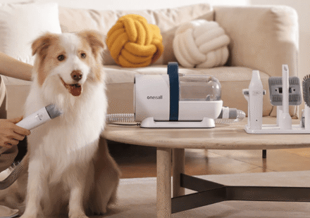 Best Pet Products in 2026: Smart Pet Gadgets, Automatic Feeders, Pet Cameras, Grooming Tools & Trending Accessories