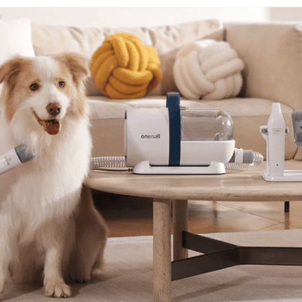 Best Pet Products in 2026: Smart Pet Gadgets, Automatic Feeders, Pet Cameras, Grooming Tools & Trending Accessories