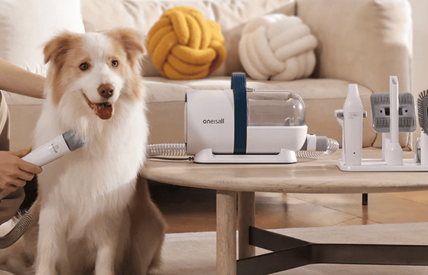 Best Pet Products in 2026: Smart Pet Gadgets, Automatic Feeders, Pet Cameras, Grooming Tools & Trending Accessories