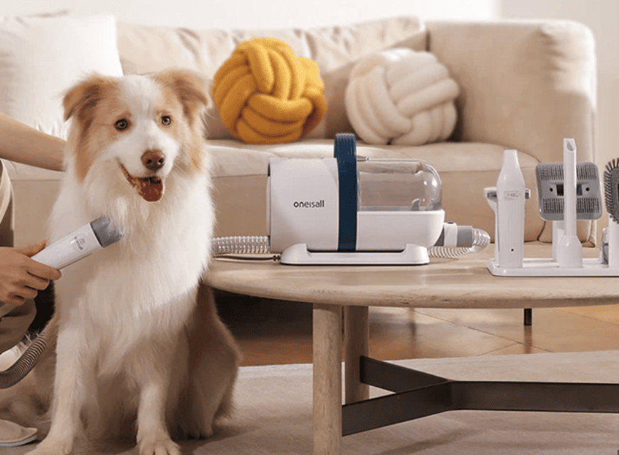Best Pet Products in 2026: Smart Pet Gadgets, Automatic Feeders, Pet Cameras, Grooming Tools & Trending Accessories