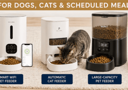 Best Pet Products Compared Before Buying: Automatic Feeders, Pet Beds & Grooming Tools Buying Guide